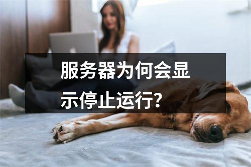 服务器为何会显示停止运行?
