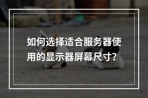 如何选择适合服务器使用的显示器屏幕尺寸?