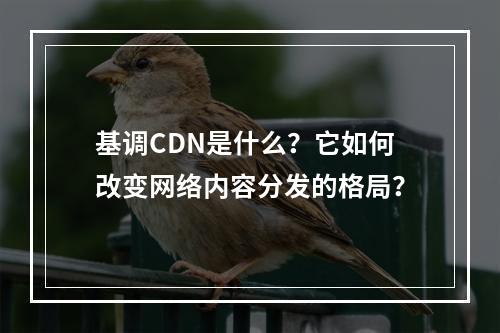 基调CDN是什么?它如何改变网络内容分发的格局?