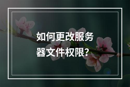 如何更改服务器文件权限?