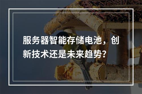 服务器智能存储电池,创新技术还是未来趋势?