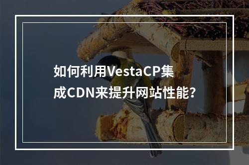如何利用VestaCP集成CDN来提升网站性能?