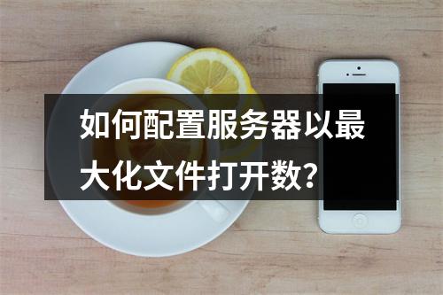 如何配置服务器以最大化文件打开数?