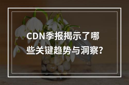 CDN季报揭示了哪些关键趋势与洞察?