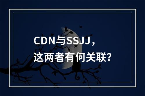 CDN与SSJJ,这两者有何关联?
