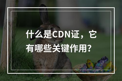 什么是CDN证,它有哪些关键作用?
