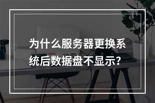 为什么服务器更换系统后数据盘不显示?