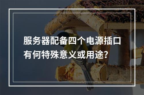 服务器配备四个电源插口有何特殊意义或用途?