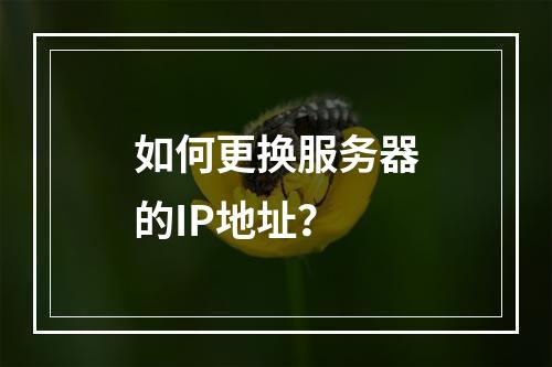 如何更换服务器的IP地址?