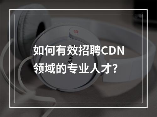 如何有效招聘CDN领域的专业人才?