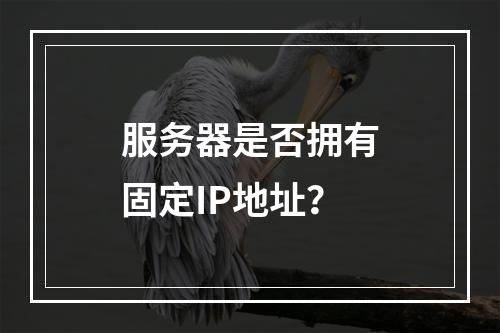 服务器是否拥有固定IP地址?