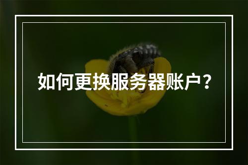 如何更换服务器账户?