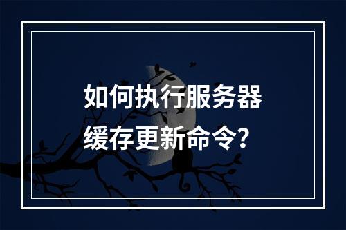 如何执行服务器缓存更新命令?