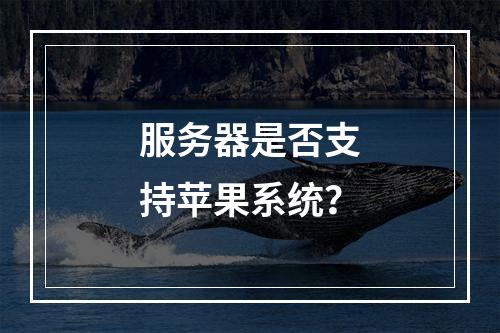 服务器是否支持苹果系统?