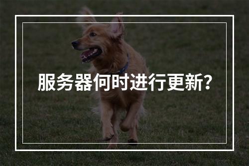 服务器何时进行更新?