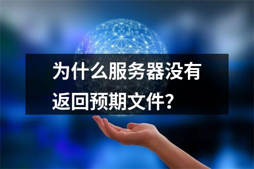 为什么服务器没有返回预期文件?