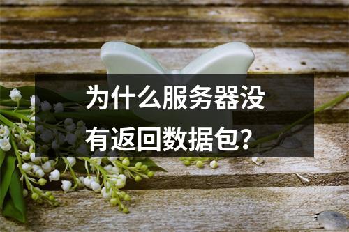 为什么服务器没有返回数据包?