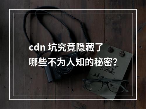 cdn 坑究竟隐藏了哪些不为人知的秘密?