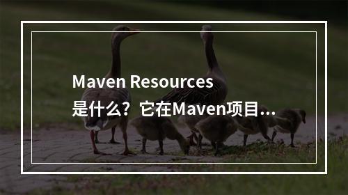 Maven Resources是什么?它在Maven项目中扮演什么角色?