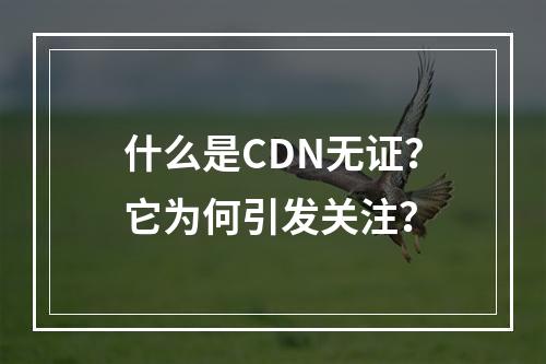 什么是CDN无证?它为何引发关注?
