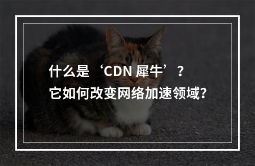 什么是‘CDN 犀牛’?它如何改变网络加速领域?