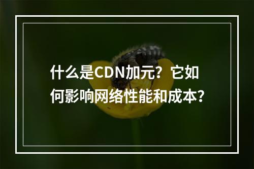 什么是CDN加元?它如何影响网络性能和成本?