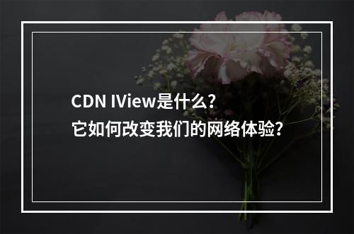 CDN IView是什么?它如何改变我们的网络体验?