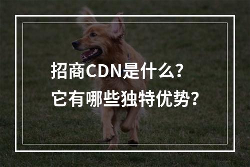 招商CDN是什么?它有哪些独特优势?