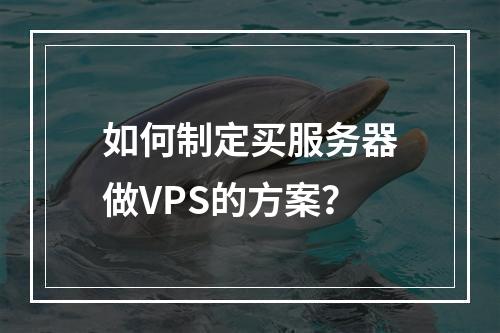 如何制定买服务器做VPS的方案?
