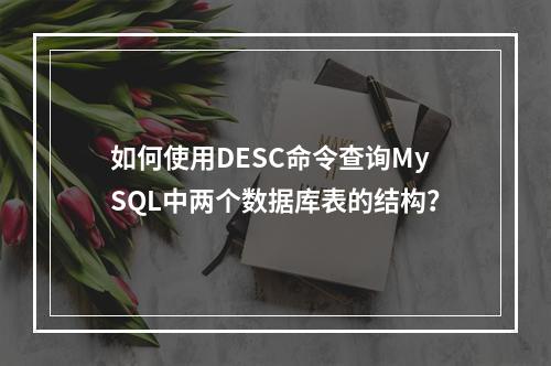 如何使用DESC命令查询MySQL中两个数据库表的结构?