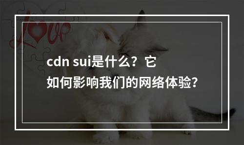 cdn sui是什么?它如何影响我们的网络体验?