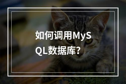 如何调用MySQL数据库?