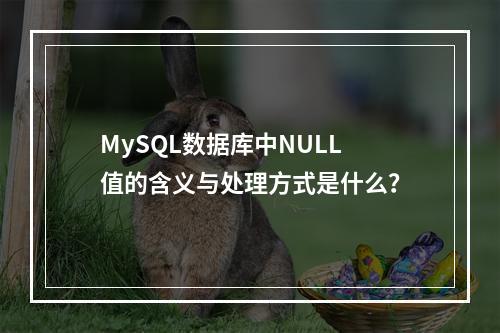 MySQL数据库中NULL值的含义与处理方式是什么?