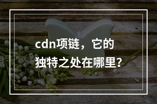 cdn项链,它的独特之处在哪里?