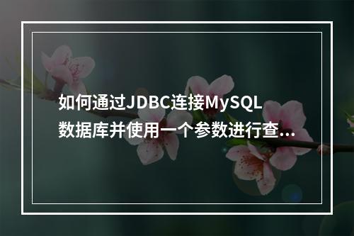 如何通过JDBC连接MySQL数据库并使用一个参数进行查询?