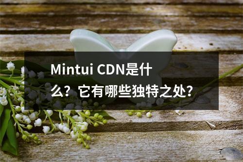 Mintui CDN是什么?它有哪些独特之处?