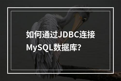 如何通过JDBC连接MySQL数据库?