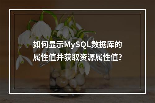 如何显示MySQL数据库的属性值并获取资源属性值?