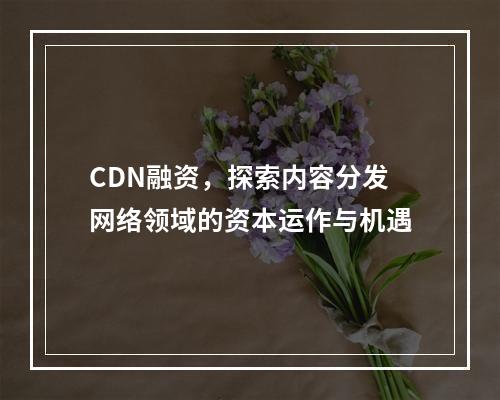 CDN融资,探索内容分发网络领域的资本运作与机遇