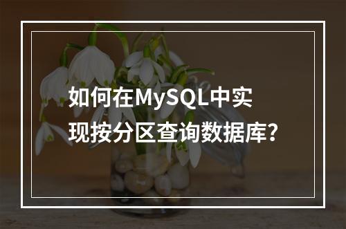 如何在MySQL中实现按分区查询数据库?