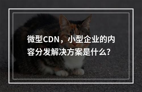 微型CDN,小型企业的内容分发解决方案是什么?