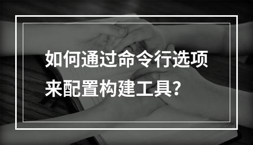 如何通过命令行选项来配置构建工具?