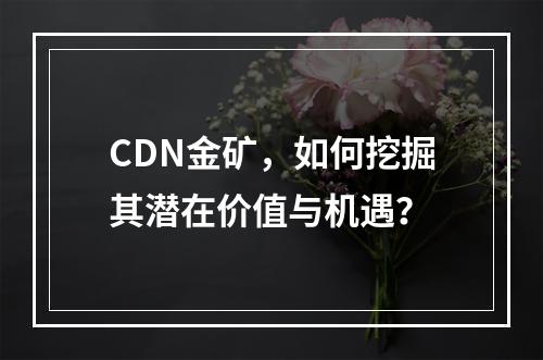 CDN金矿,如何挖掘其潜在价值与机遇?