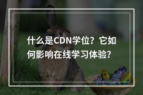 什么是CDN学位?它如何影响在线学习体验?