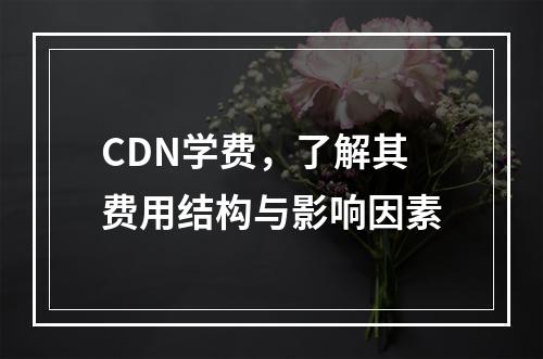 CDN学费,了解其费用结构与影响因素