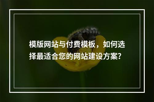 模版网站与付费模板,如何选择最适合您的网站建设方案?
