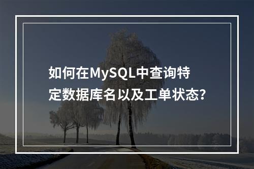 如何在MySQL中查询特定数据库名以及工单状态?