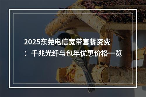 2025东莞电信宽带套餐资费：千兆光纤与包年优惠价格一览