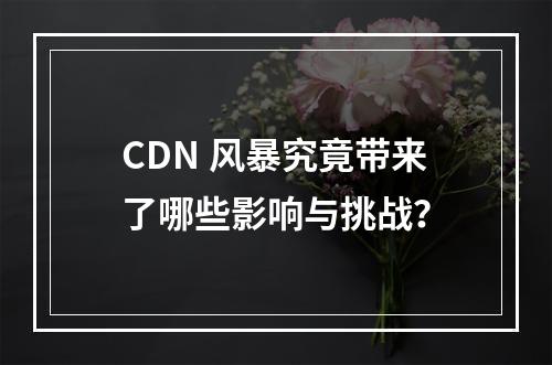 CDN 风暴究竟带来了哪些影响与挑战?
