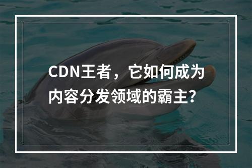 CDN王者,它如何成为内容分发领域的霸主?